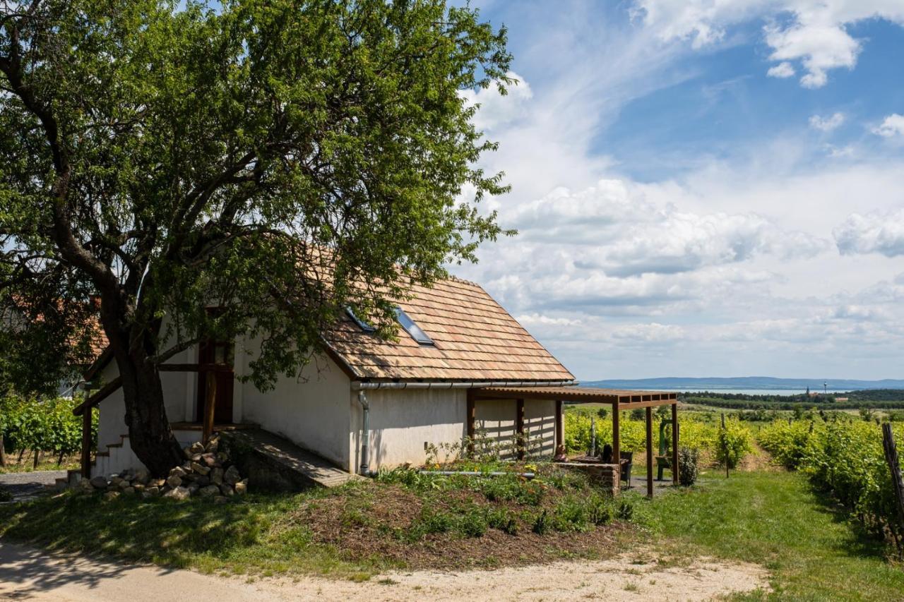 Tagyon Birtok Mandula Apartmanház Esterno foto